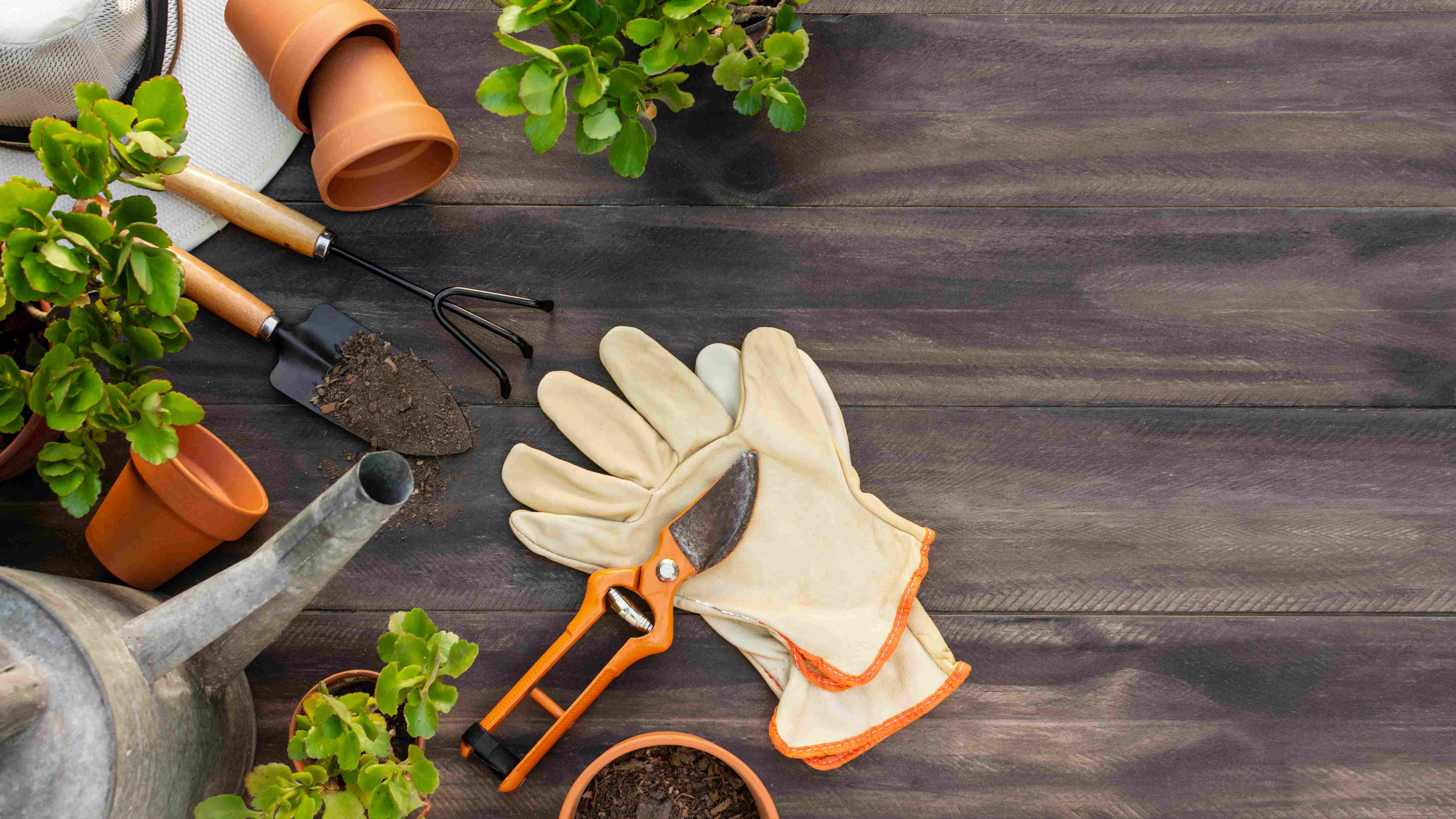 Le jardinage à domicile, un service qui séduit de plus en plus