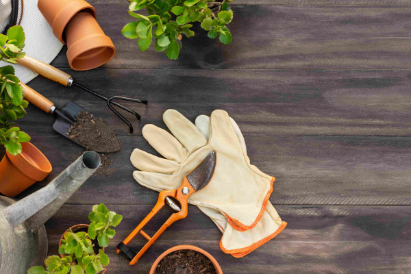 Le jardinage à domicile, un service qui séduit de plus en plus