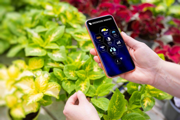 Le printemps 2025 s’annonce vert : les tendances jardin à adopter cette saison*