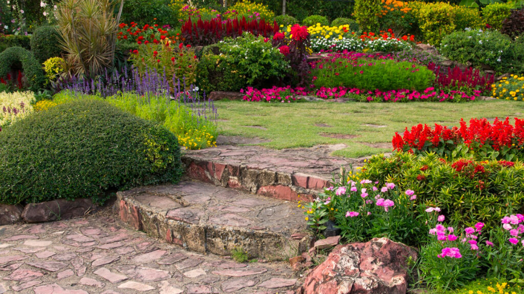 Pourquoi un entretien régulier des massifs change complètement l’aspect d’un jardin ?