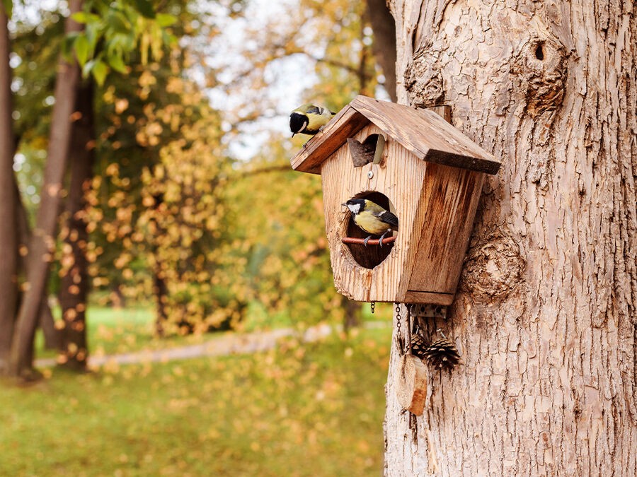 Jardin écologique : les prestations complémentaires que tout paysagiste devrait proposer