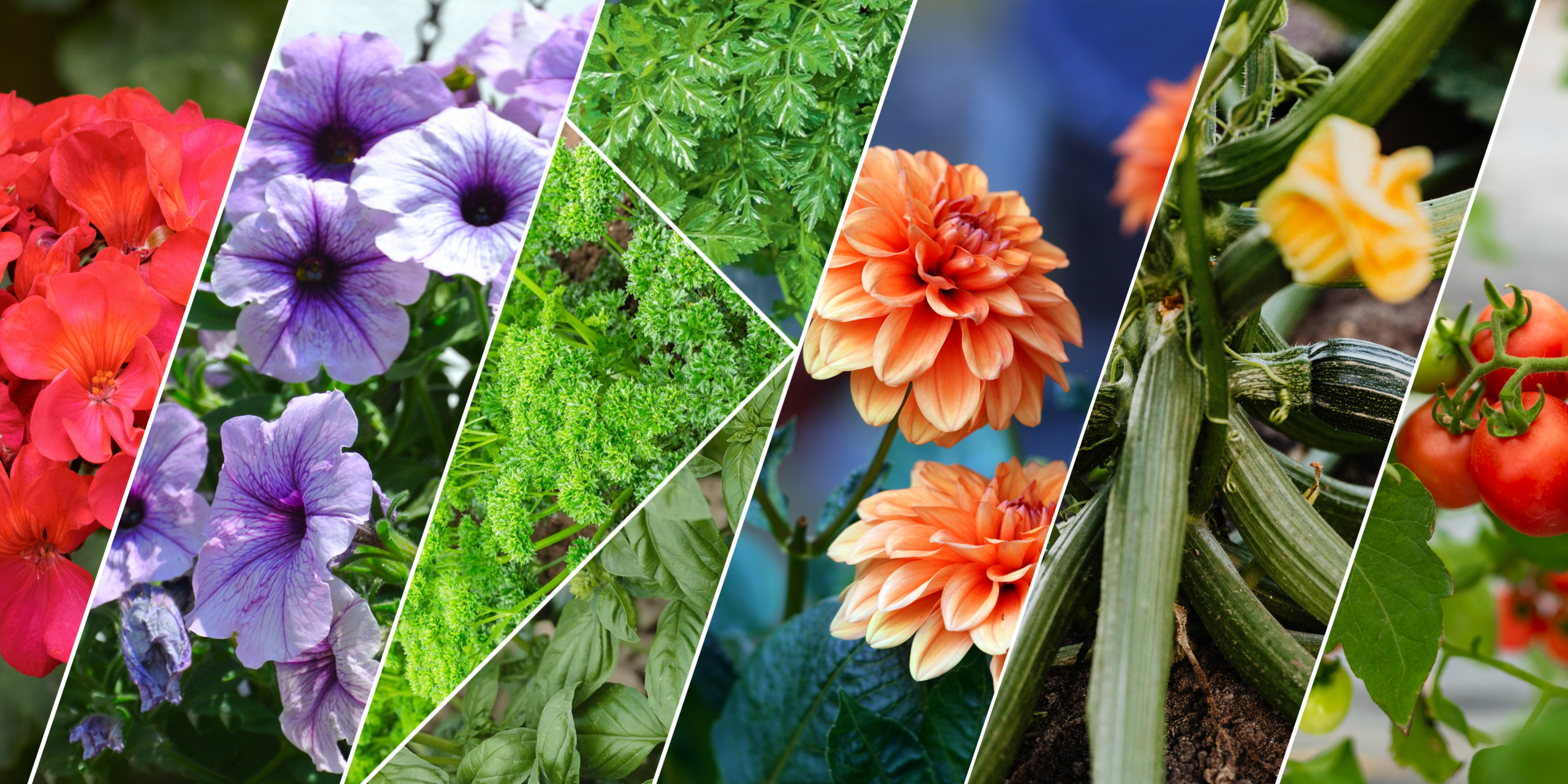 Plantations de printemps à faire à Pâques dans un jardin français